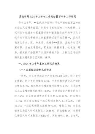 县统计局2024年上半年工作总结暨下半年工作计划