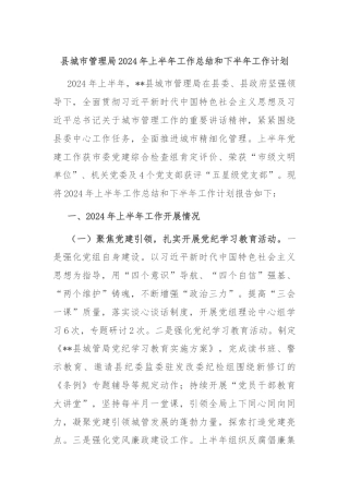 县城市管理局2024年上半年工作总结和下半年工作计划