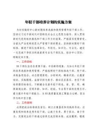 年轻干部培养计划的实施方案