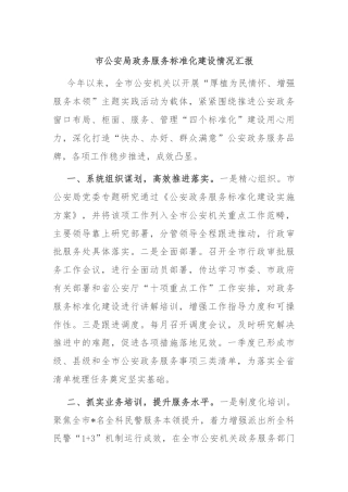 市公安局政务服务标准化建设情况汇报