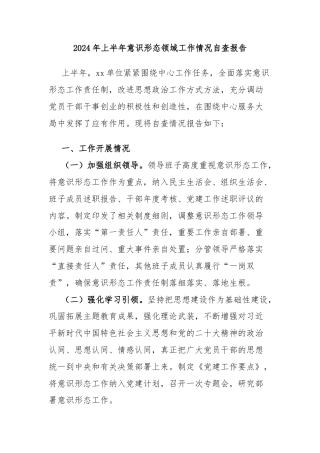2024年上半年意识形态领域工作情况自查报告