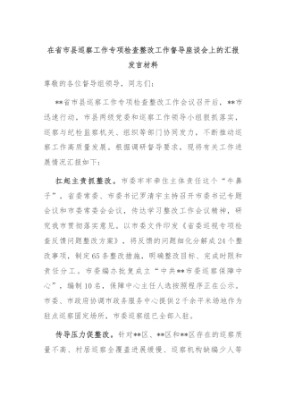 在省市县巡察工作专项检查整改工作督导座谈会上的汇报发言材料