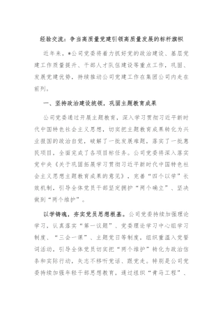 经验交流：争当高质量党建引领高质量发展的标杆旗帜