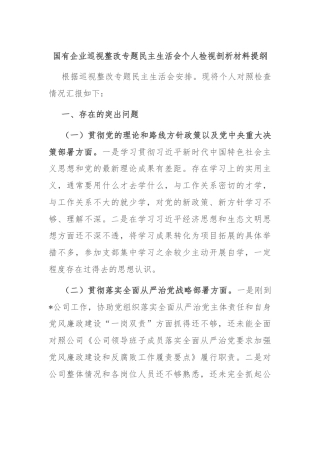 国有企业巡视整改专题民主生活会个人检视剖析材料提纲