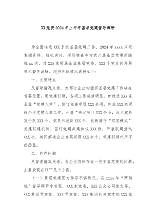 XX党委2024年上半年基层党建督导调研