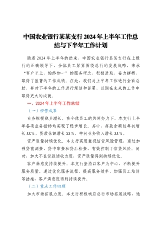 中国农业银行某某支行2024年上半年工作总结与下半年工作计划