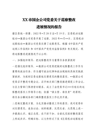 市国企公司党委关于巡察整改进展情况的报告