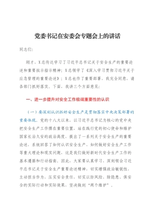 党委书记在安委会专题会上的讲话