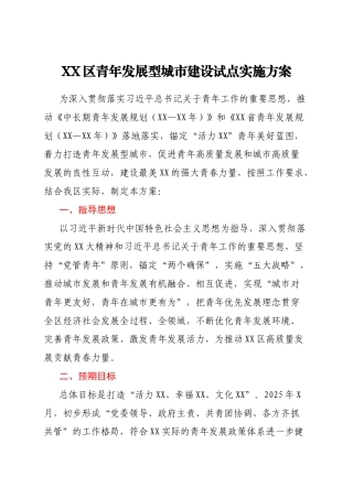 XX区青年发展型城市建设试点实施方案