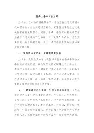 县委上半年工作总结