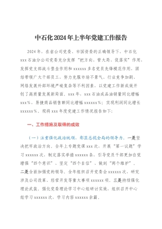 中石化2024年上半年党建工作报告