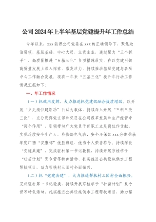 公司2024年上半年基层党建提升年工作总结