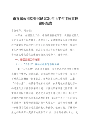 市直属公司党委书记2024年上半年主体责任述职报告