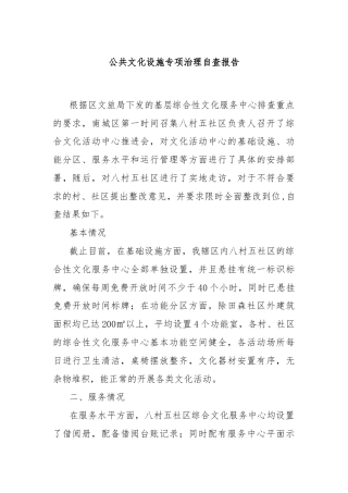 公共文化设施专项治理自查报告