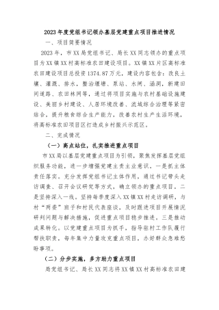 党组书记领办基层党建重点项目推进情况报告