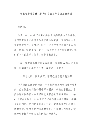 市长在市委全体（扩大）会议全体会议上的讲话