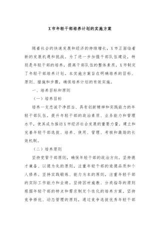 X市年轻干部培养计划的实施方案