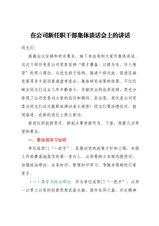 在公司新任职干部集体谈话会上的讲话