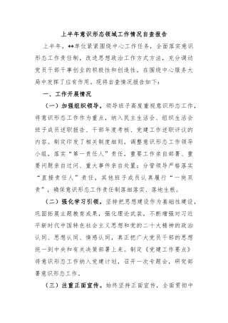2024上半年意识形态领域工作情况自查报告模板(讲稿)
