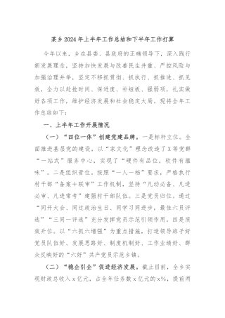 某乡2024年上半年工作总结和下半年工作打算