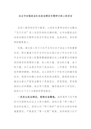 在全市加强政法队伍政治建设专题研讨班上的发言