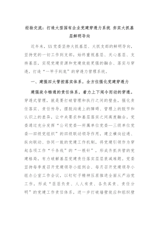 经验交流：打造大型国有企业党建穿透力系统 夯实大抓基层鲜明导向