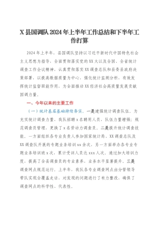 X县国调队2024年上半年工作总结和下半年工作打算