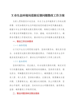 X市生态环境局巡察反馈问题整改工作方案