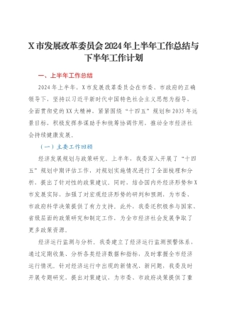X市发展改革委员会2024年上半年工作总结与下半年工作计划
