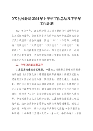 XX县统计局2024年上半年工作总结及下半年工作计划