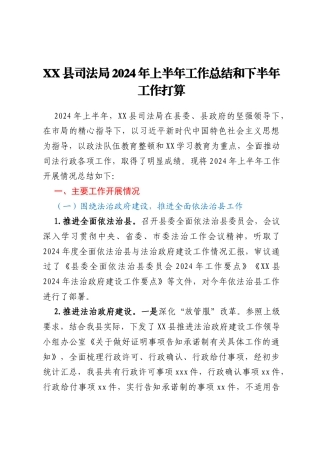 XX县司法局2024年上半年工作总结和下半年工作打算
