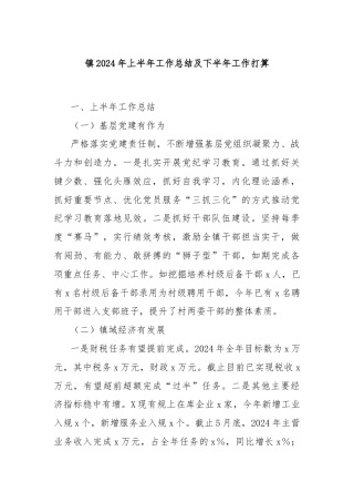 镇2024年上半年工作总结及下半年工作打算
