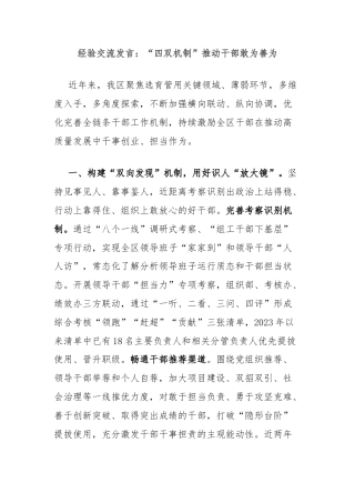 经验交流发言：“四双机制”推动干部敢为善为