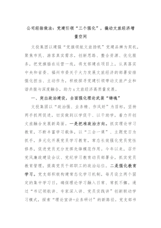 公司经验做法：党建引领“三个强化”，撬动文旅经济增量空间