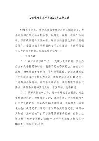 X镇党政办上半年2024年工作总结
