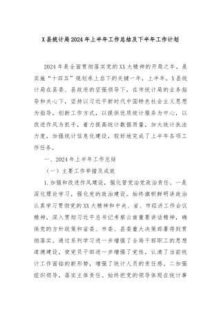 X县统计局2024年上半年工作总结及下半年工作计划