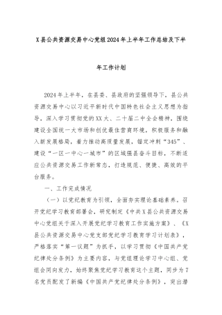 X县公共资源交易中心党组2024年上半年工作总结及下半年工作计划