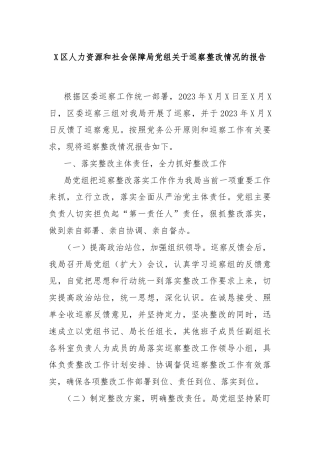 X区人力资源和社会保障局党组关于巡察整改情况的报告