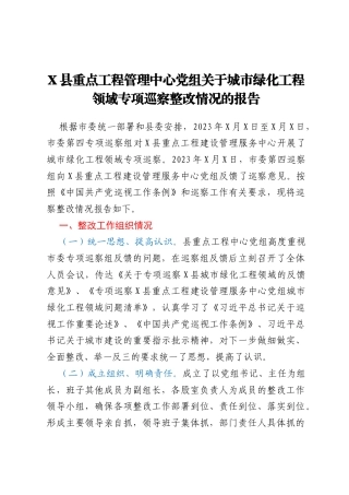 X县重点工程管理中心党组关于城市绿化工程领域专项巡察整改情况的报告