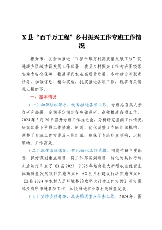 X县“百千万工程”乡村振兴工作专班工作情况