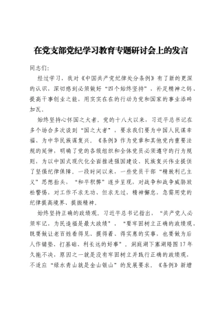 在党支部党纪学习教育专题研讨会上的发言