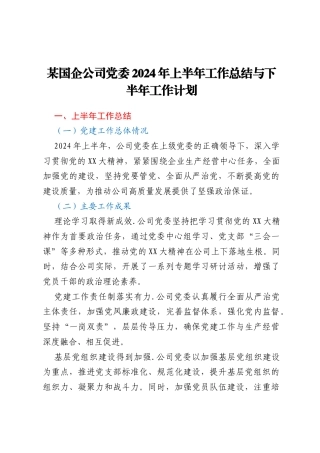 某国企公司党委2024年上半年工作总结与下半年工作计划