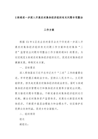 X街道进一步深入开展农村集体经济组织有关问题专项整治工作方案
