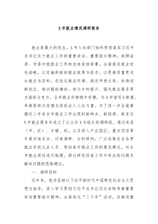 X市就业情况调研报告
