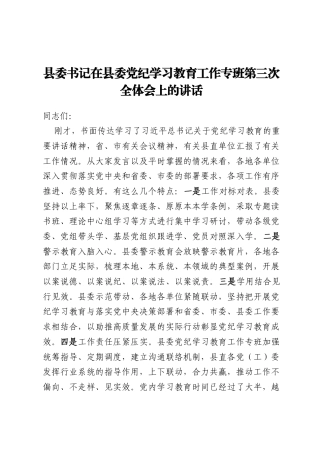 县委书记在县委党纪学习教育工作专班第三次全体会上的讲话