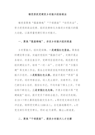 镇党委抓党建促乡村振兴经验做法