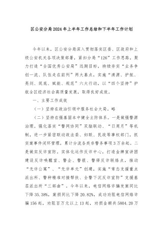区公安分局2024年上半年工作总结和下半年工作计划