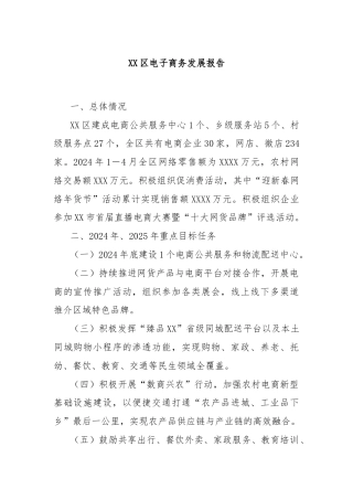 XX区电子商务发展报告
