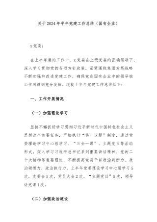 关于2024年半年党建工作总结（国有企业）