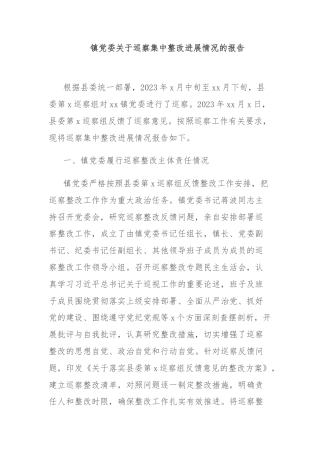 镇党委关于巡察集中整改进展情况的报告
